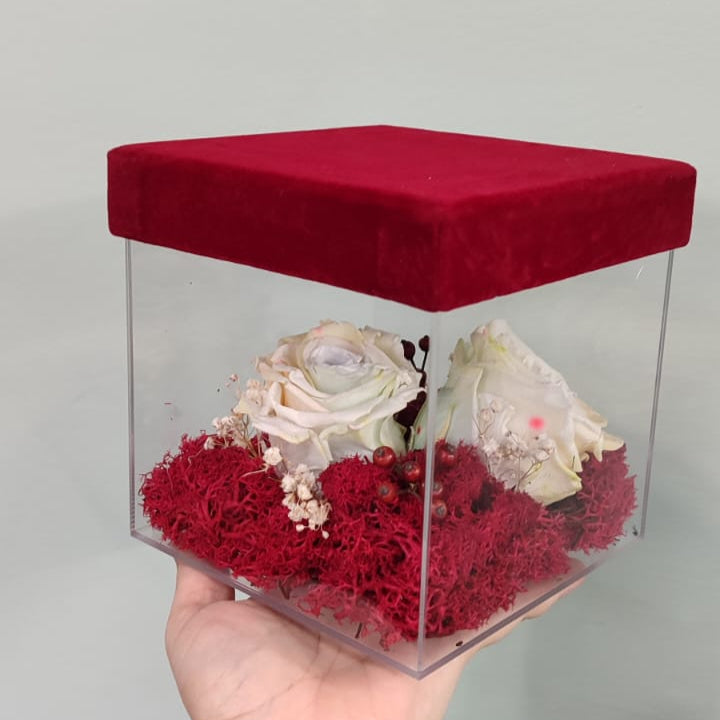 Cubo